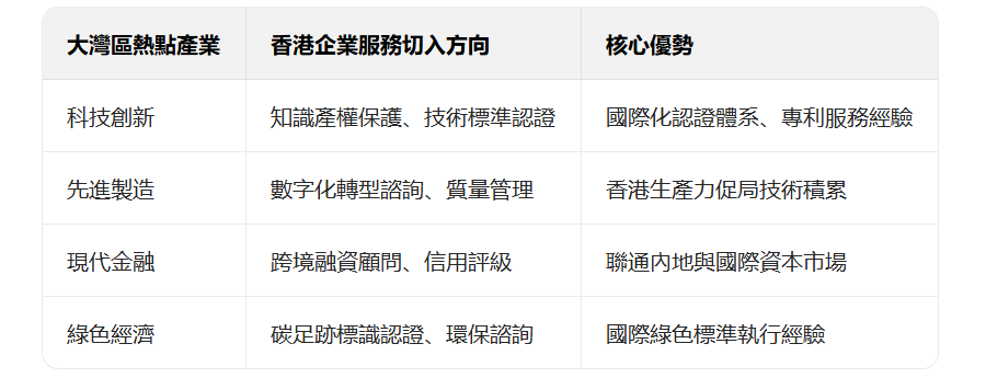 大灣區企業服務內容