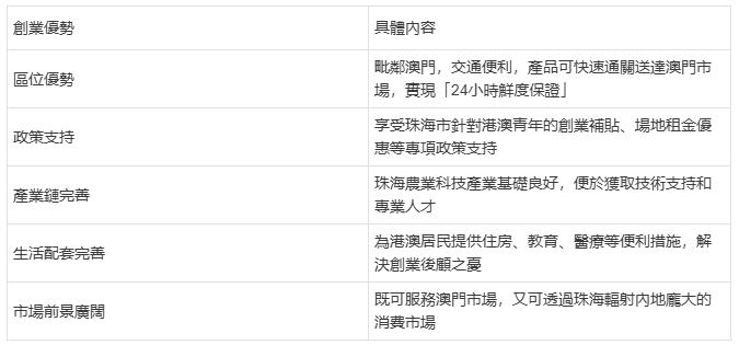政策支持為港澳青年創業提供了多重優勢